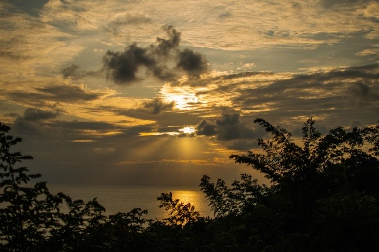 découvrez mayotte, une île paradisiaque située dans l'océan indien, riche en culture, biodiversité et paysages magnifiques. explorez ses plages de sable blanc, sa faune marine exceptionnelle et ses traditions uniques. parfait pour les amateurs de nature et d'aventure!